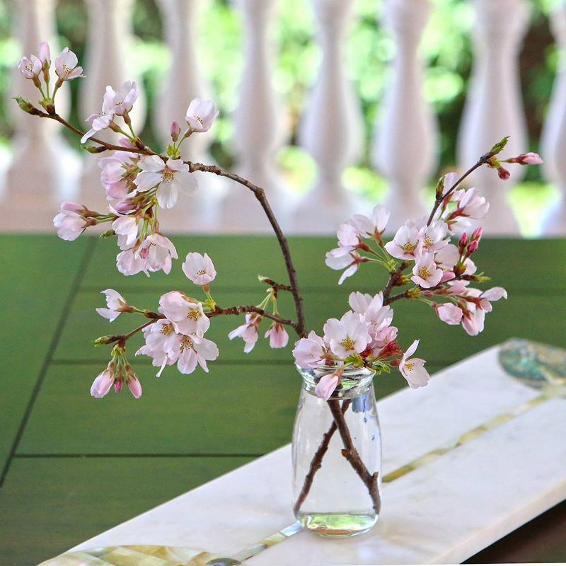 12ct Vintage Milk Favor Jar