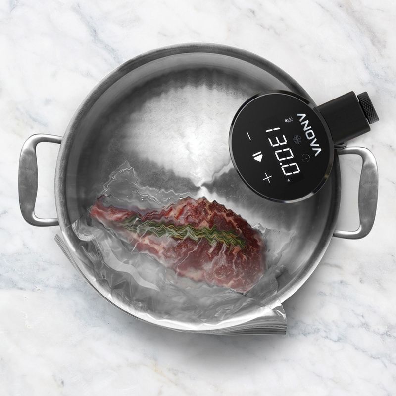 Anova Sous Vide Nano Precision Cooker