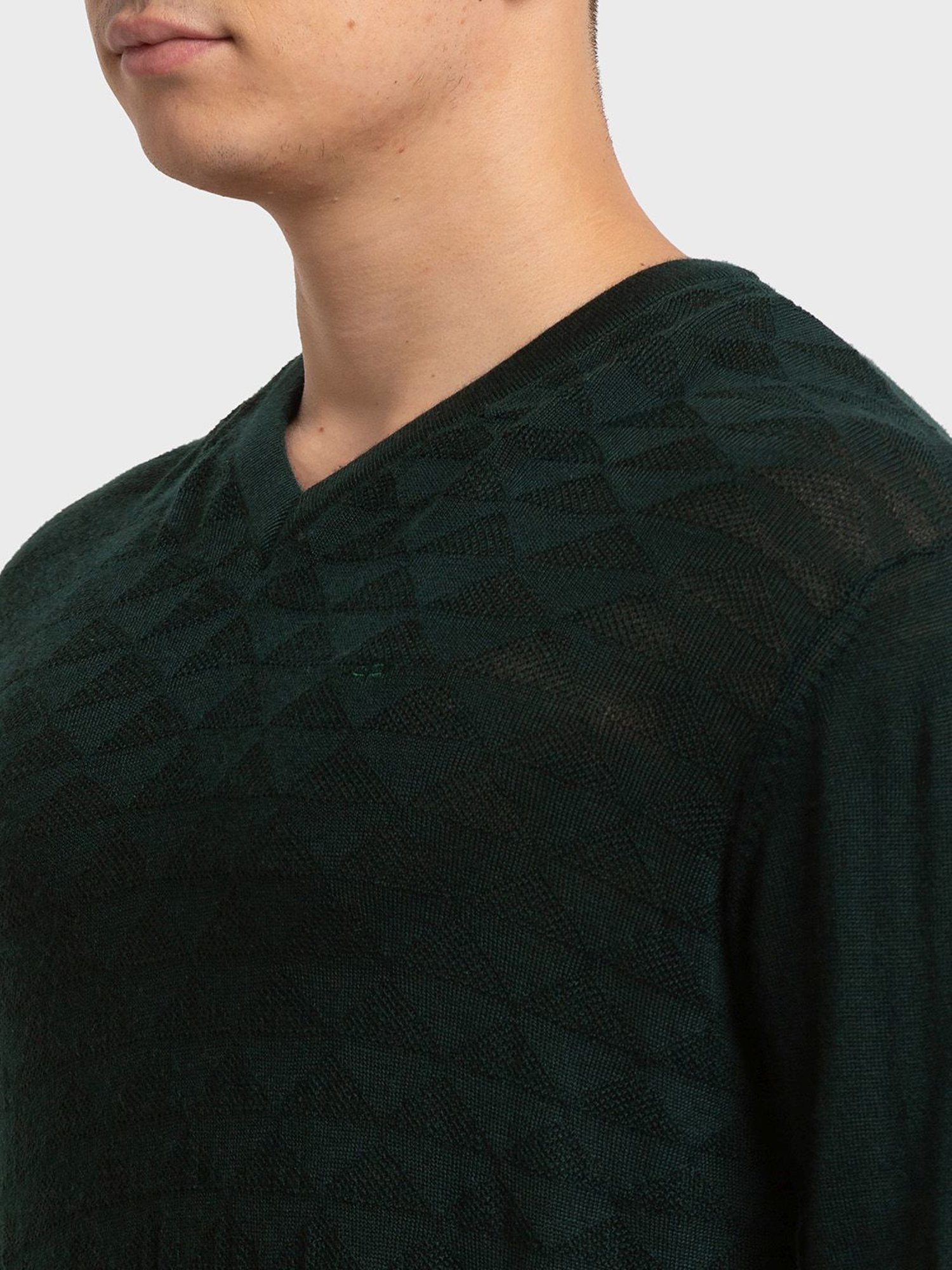 ColorPlus Green Tailored Fit Self Pattern Sweaters