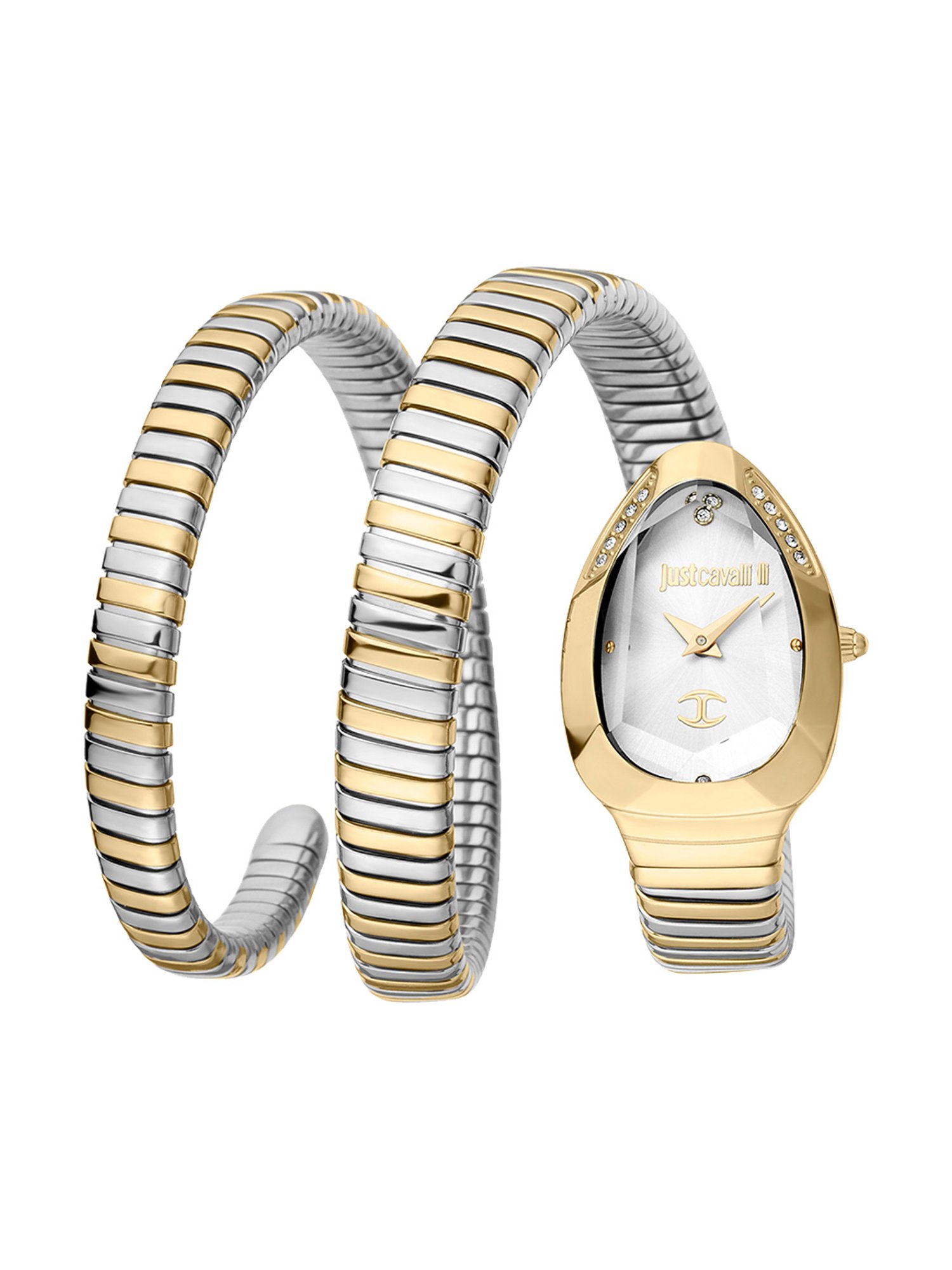 JUST CAVALLI JC1L209M0065 Analog Watch for Women