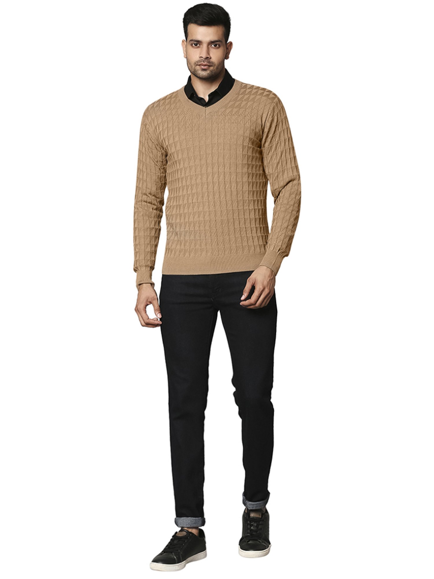 Raymond Beige  Regular Fit Texture Sweaters