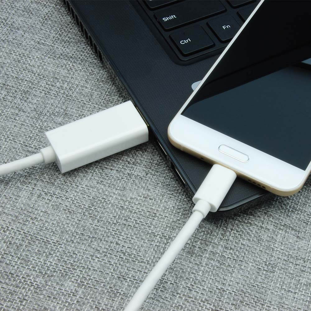 Fuji Labs USB Type C to HDMI Male Cable