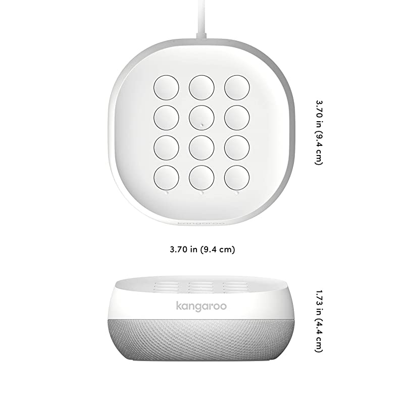 Home Security Motion Sensor (1 Pack)