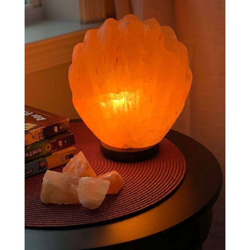 Sea Shell Salt Lamp Pink - Q&A Himalayan Salt