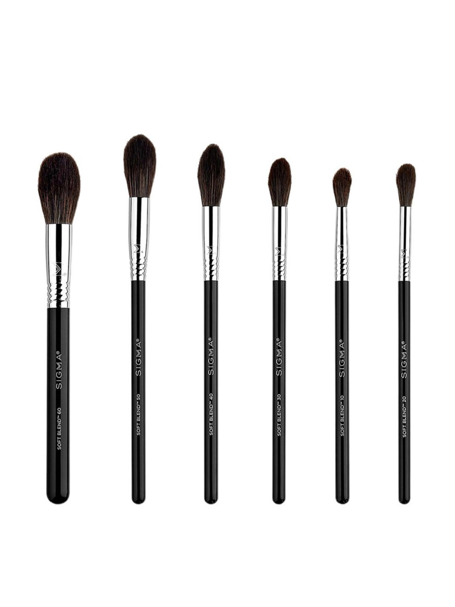 Sigma Beauty Soft Blend Brush Set