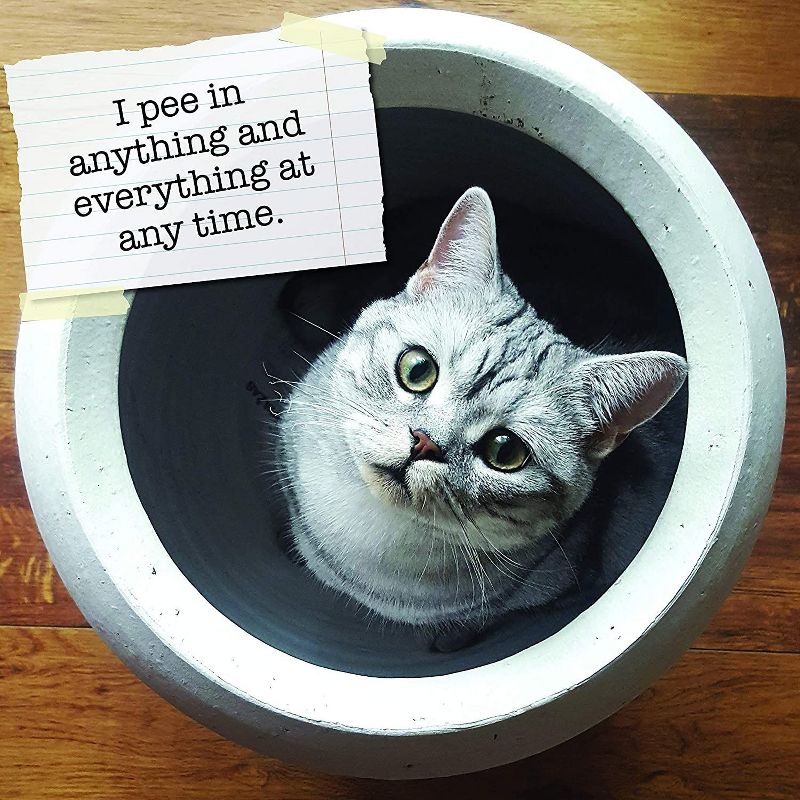 Sellers Publishing, 2021 Outlander 16-Month Wall Calendar