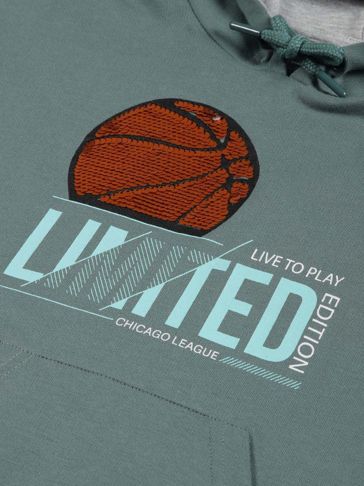 Plum Tree Boys Summer Green Cotton Printed Full Sleeves NA Sweatshirt