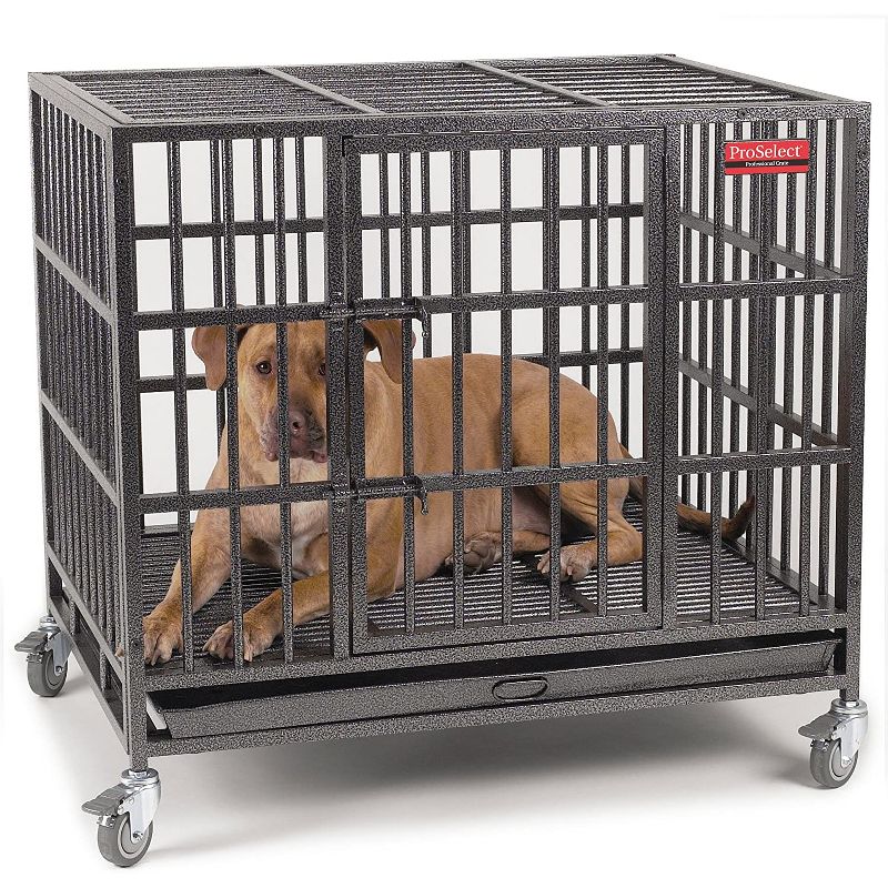 Pet Edge ZW179 37 Indestructible Steel Crate Dog Cat Small Animal Medium Wheeled Pet Cage with Tray, Black