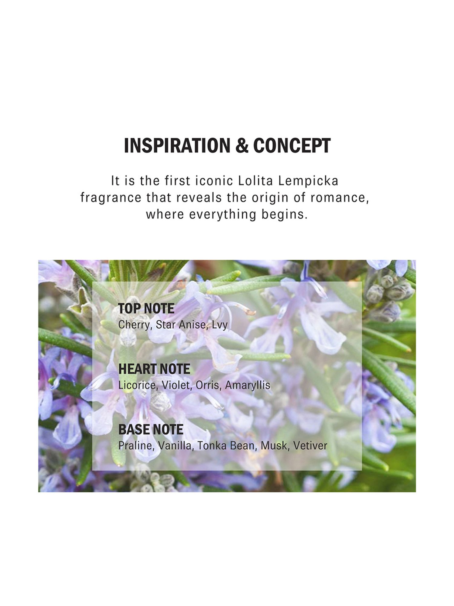 Lolita Lempicka Mon Premier Parfum Eau de Parfum - 50 ml