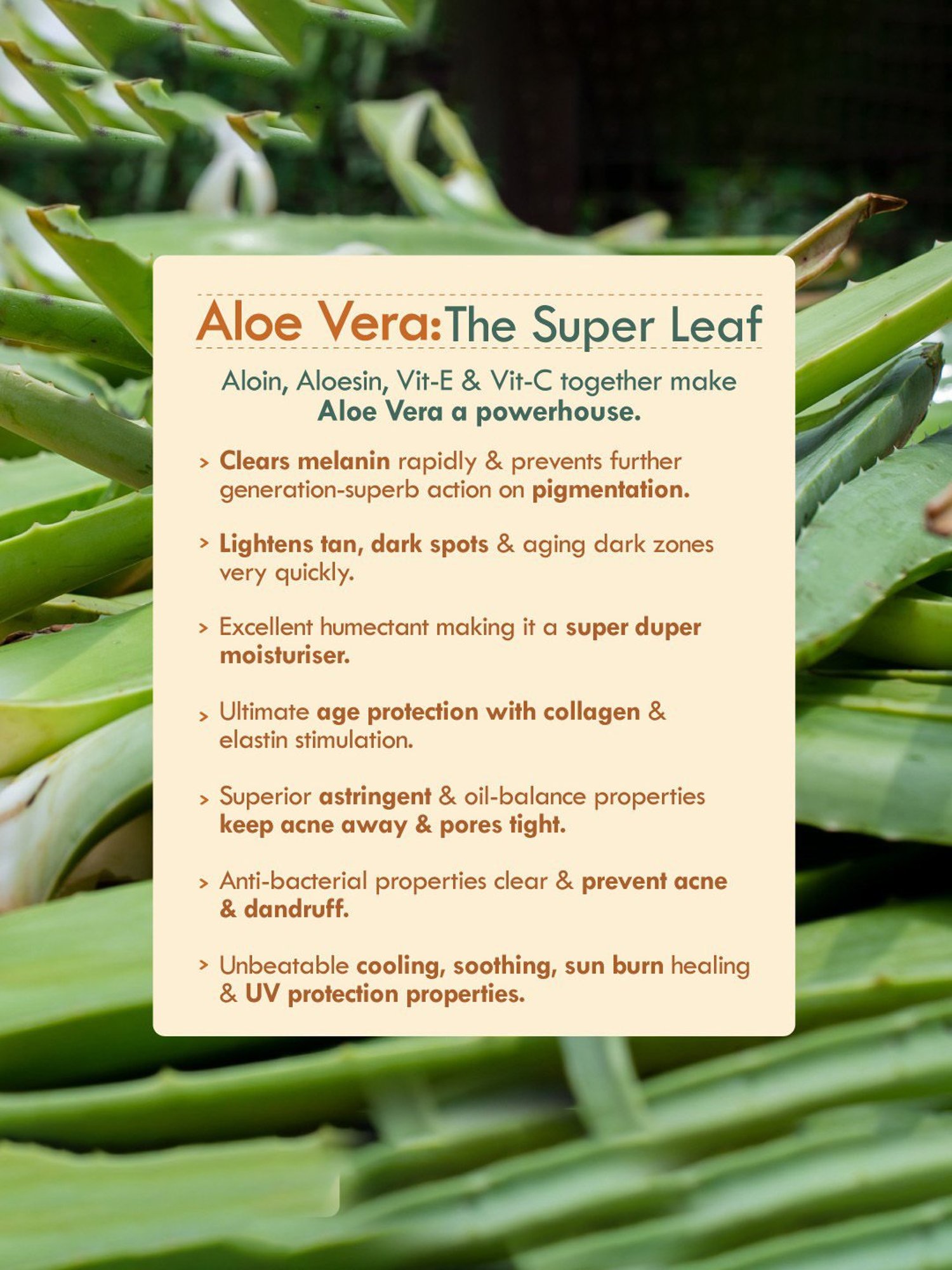 Nat Habit Orange Kiwi Active Vit-C Face Gel - 50 gm