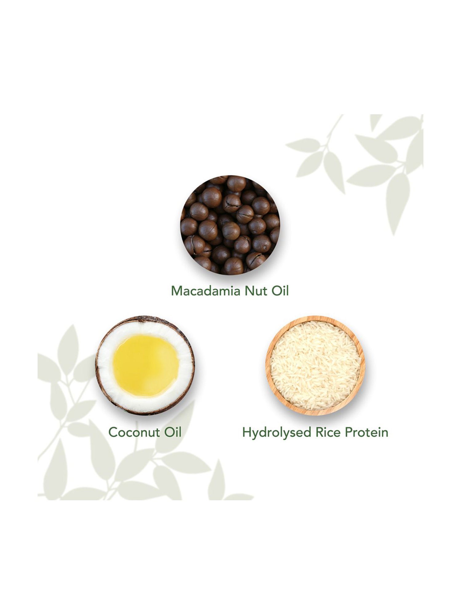 Pure Sense Macadamia Deep Nourishing Hair Conditioner - 200 ml