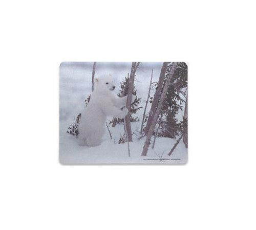 Mouse Pad Counter Display National Geographic Collection (24 Pieces) - 423373