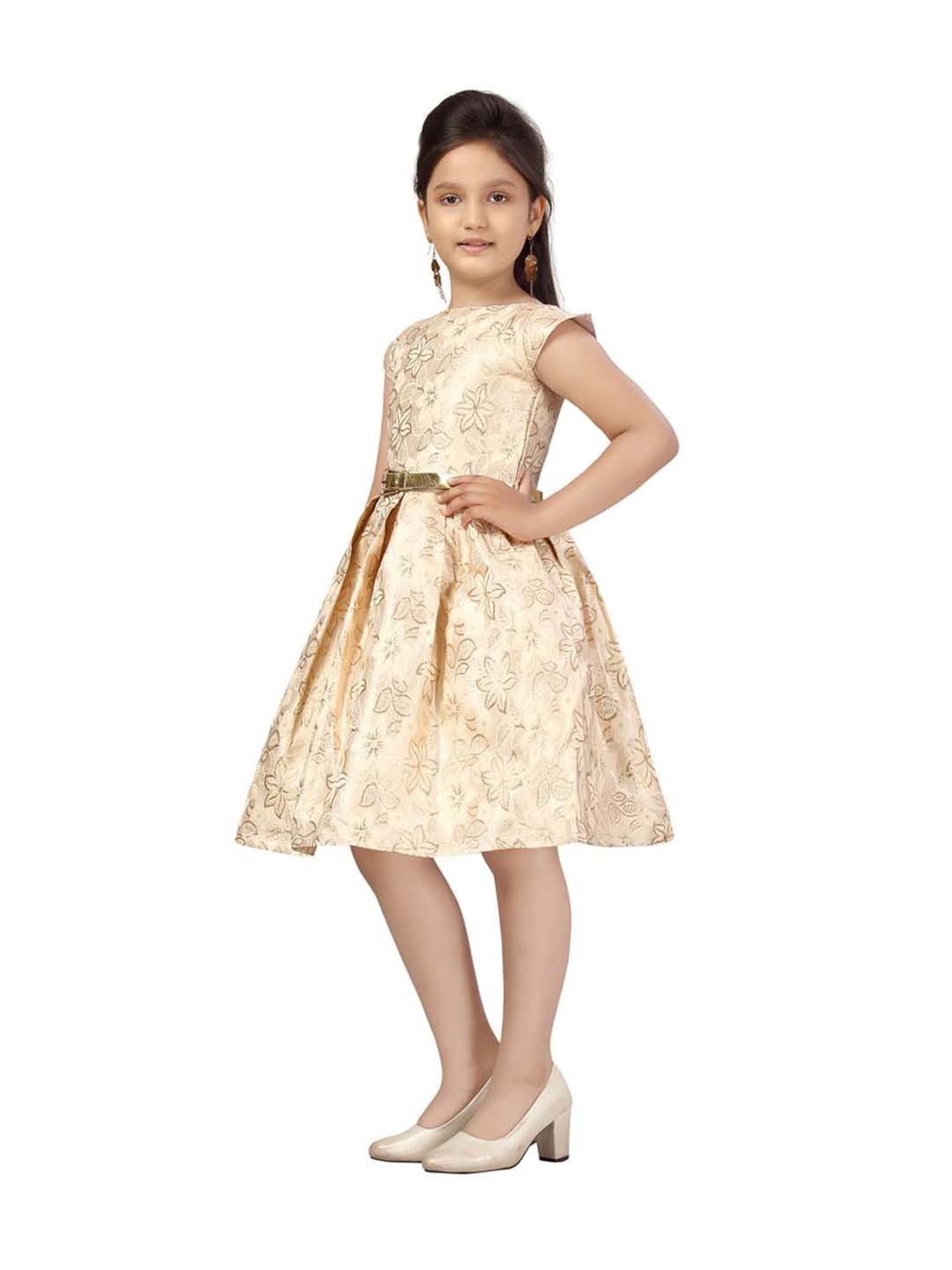 Aarika Kids Beige Printed Dress