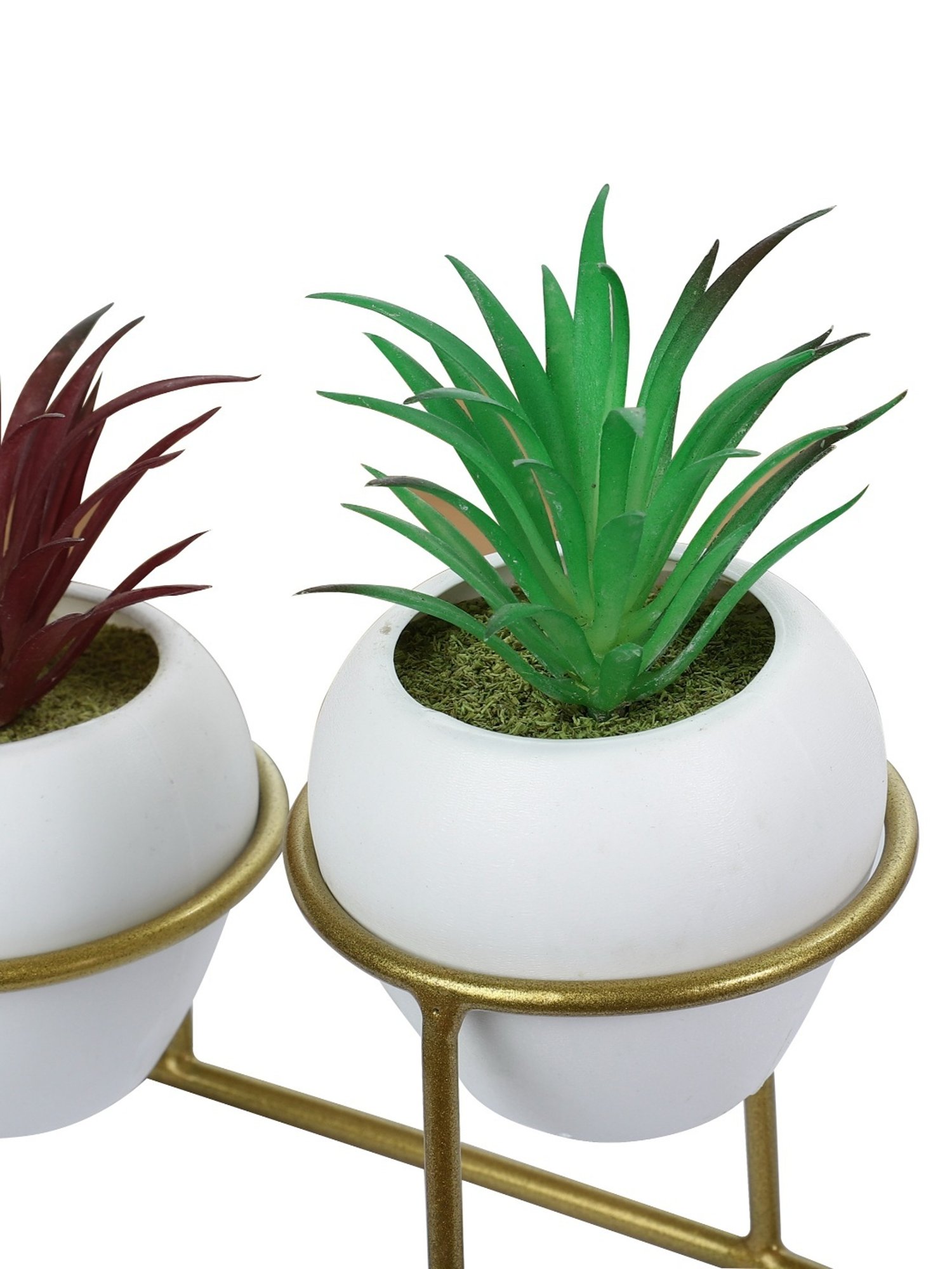 Foliyaj Multicolor Plastic Artificial Cactus Plants with Metal Holder - Set of 2
