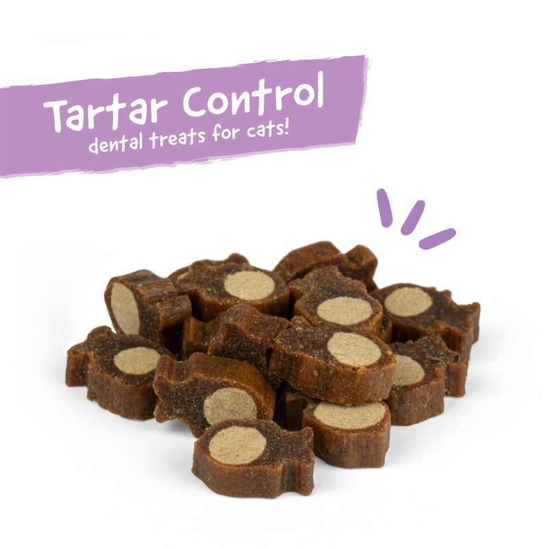 Arm & Hammer Fishies Dental Treats Salmon Flavor Cat Treats - 2.5oz