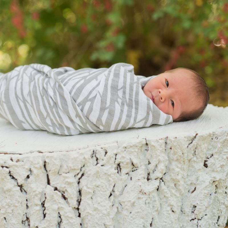 aden + anais Muslin Swaddle Blankets Harry Potter Iconic - 4pk