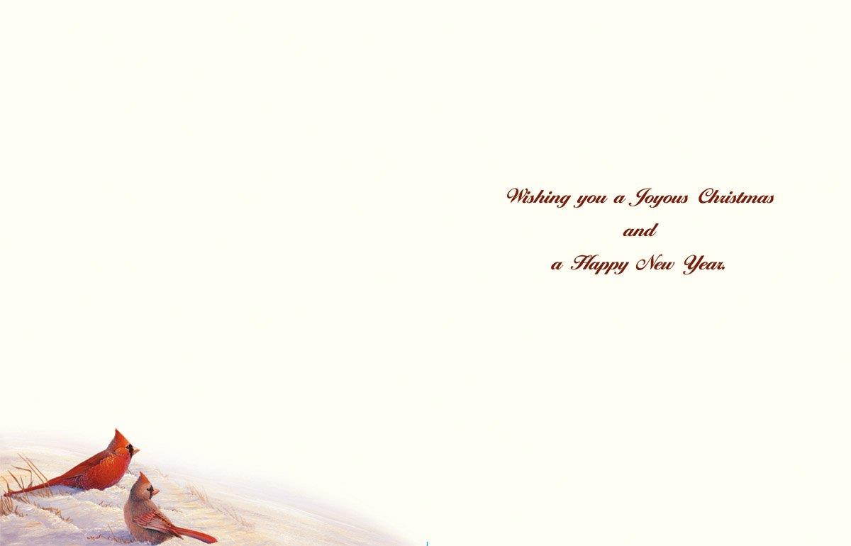 LANG - "Wintertime Cardinal", Boxed Christmas Cards, Artwork by Sam Timm" - 18 Cards, 19 envelopes - 5.375" x 6.875"