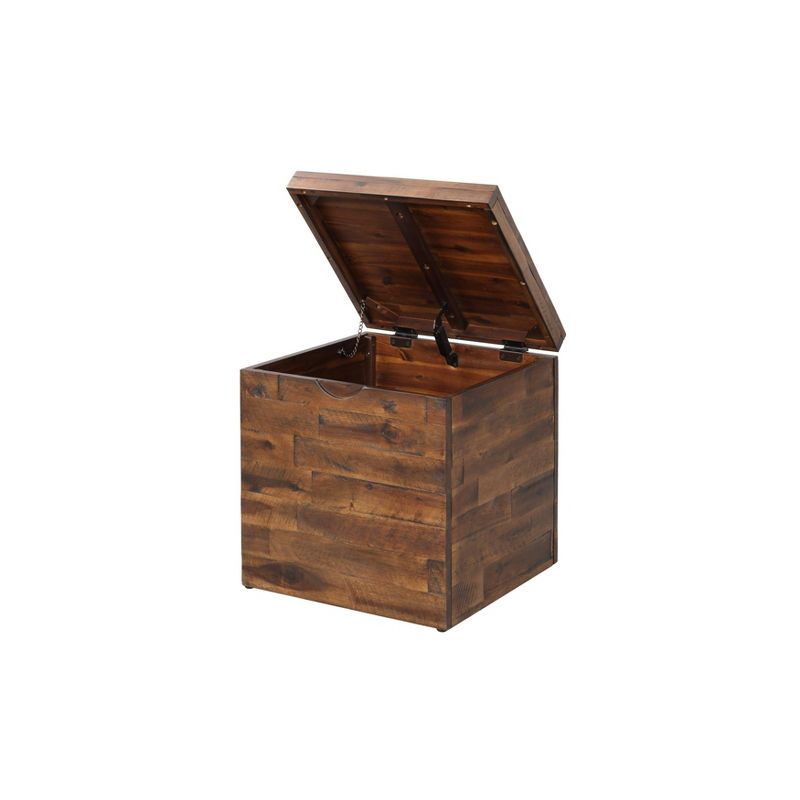 17.75" Cassian Storage Cube Trunk Dark Brown - Summerland Home