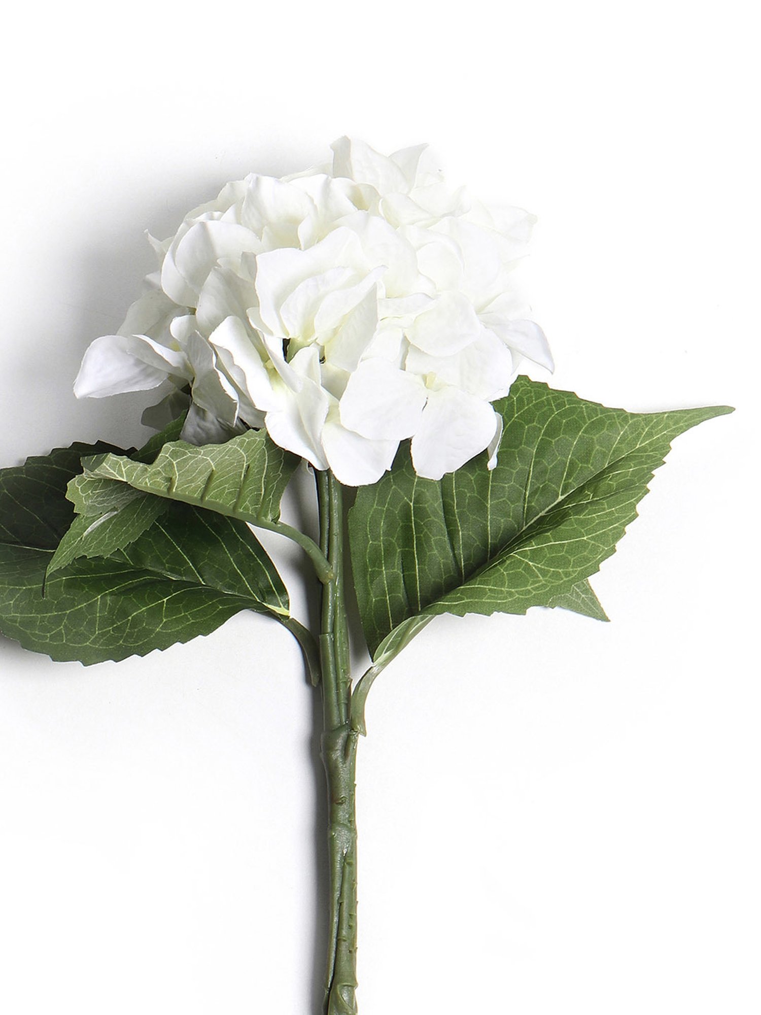 Pure Home and Living White Plastic Solid Flower Stems