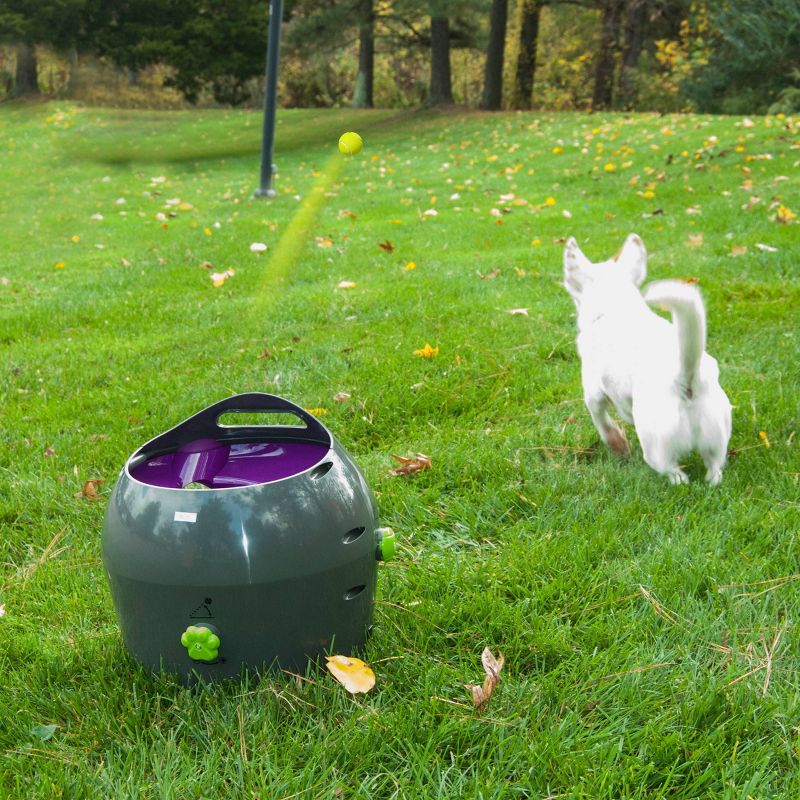 PetSafe Automatic Ball Launcher - Gray