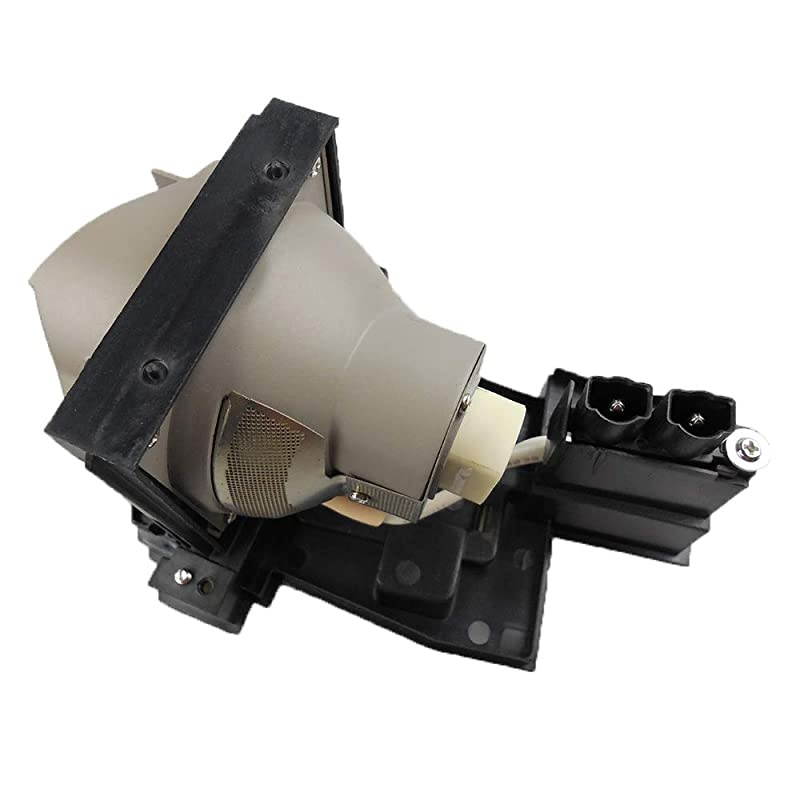 OMAIC Projector Lamp Bulb for Epson ELPLP67/ V13H010L67 Home Cinema PowerLite 500 707 710HD 750HD, W12 S12 EX5210 EX7210 EX3210 EX3212 VS210 VS220 X12 Replacement Projector Lamp/Bulb