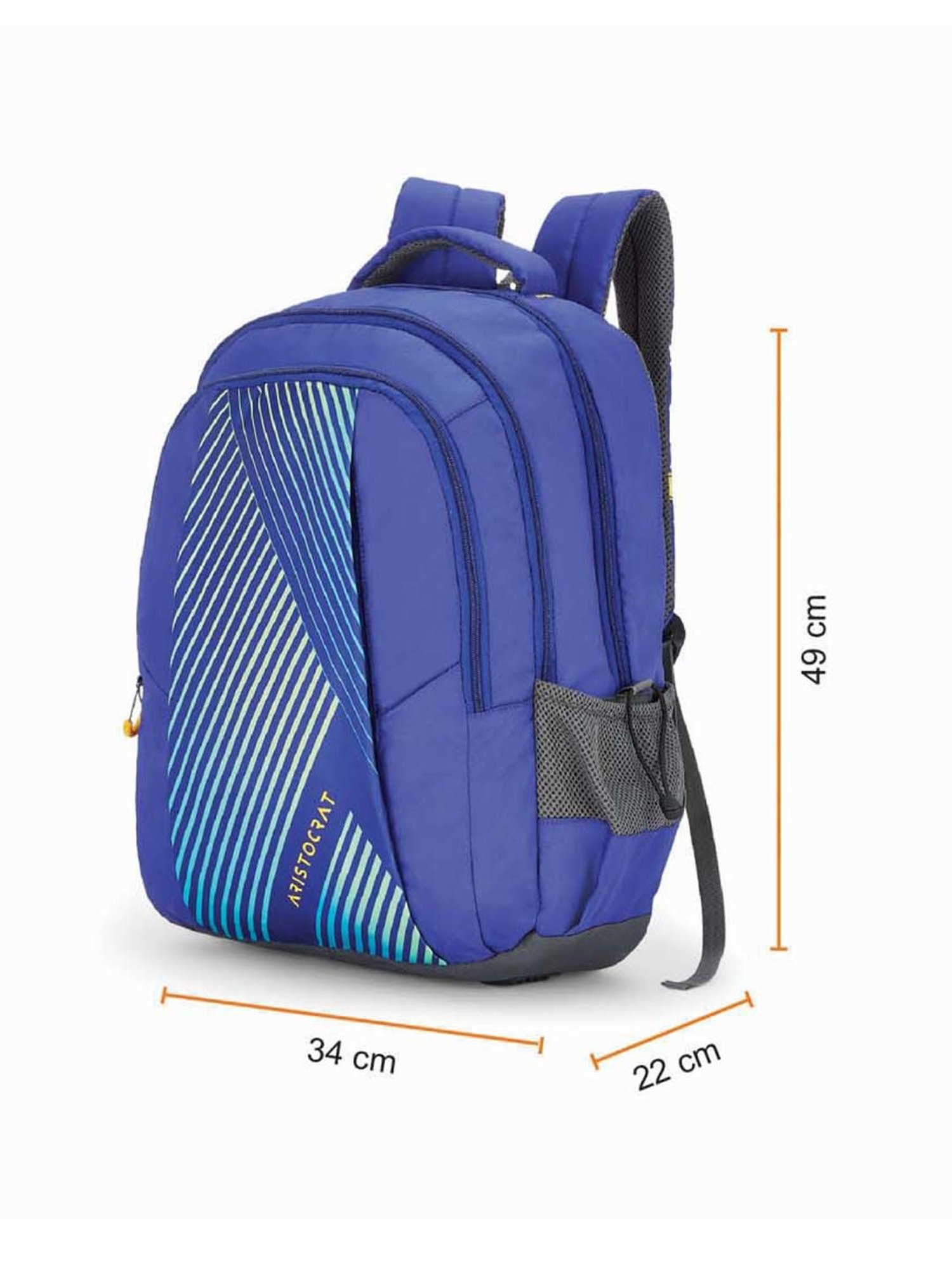 Aristocrat 27 Ltrs Blue Medium Backpack