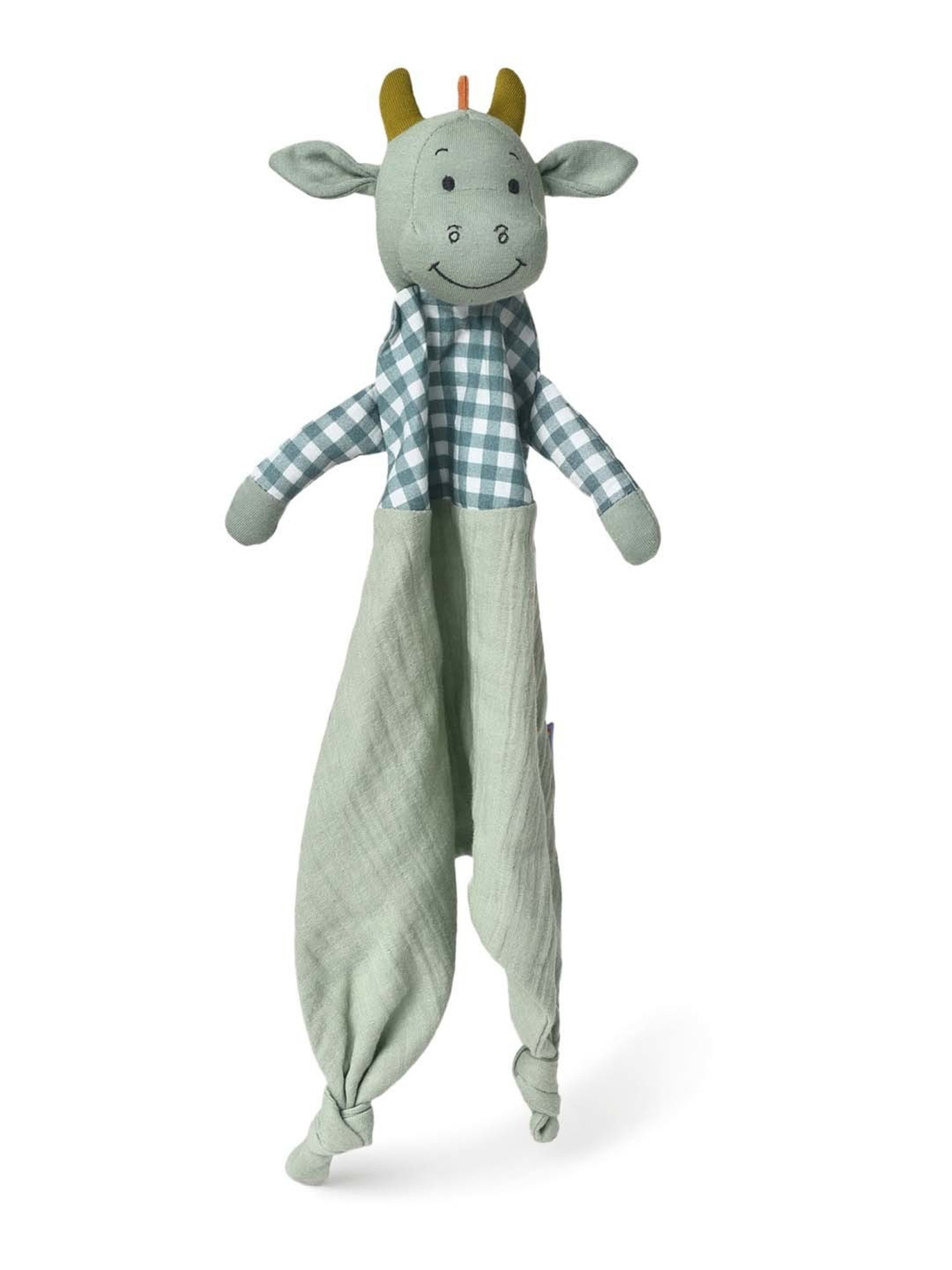 MiArcus Kids Green Playful Dino Set (Pack Of 2)