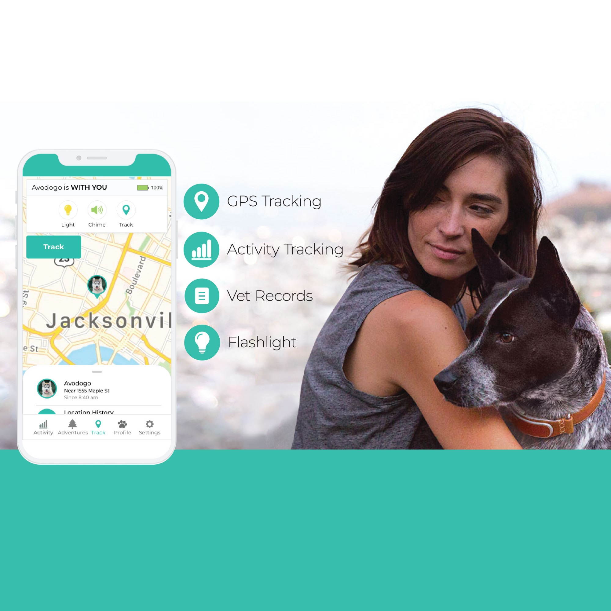 OFFICIAL STORE - Link AKC PLUS Classic GPS & Activity Monitor Smart Dog Collar Attachment, Brown