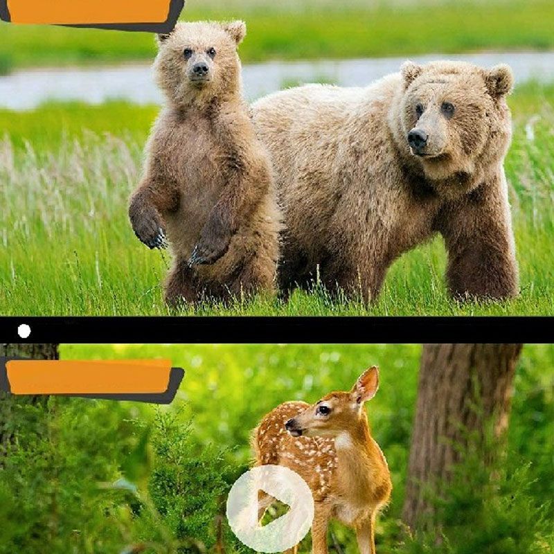 Compact Size 720P HD Digital Camera Camcorder 5MP CMOS Sensor 2.0" LCD Screen 3 Meters Waterproof with Built-in Microphone for Kids Children Students Boys Girls Summmer Gift