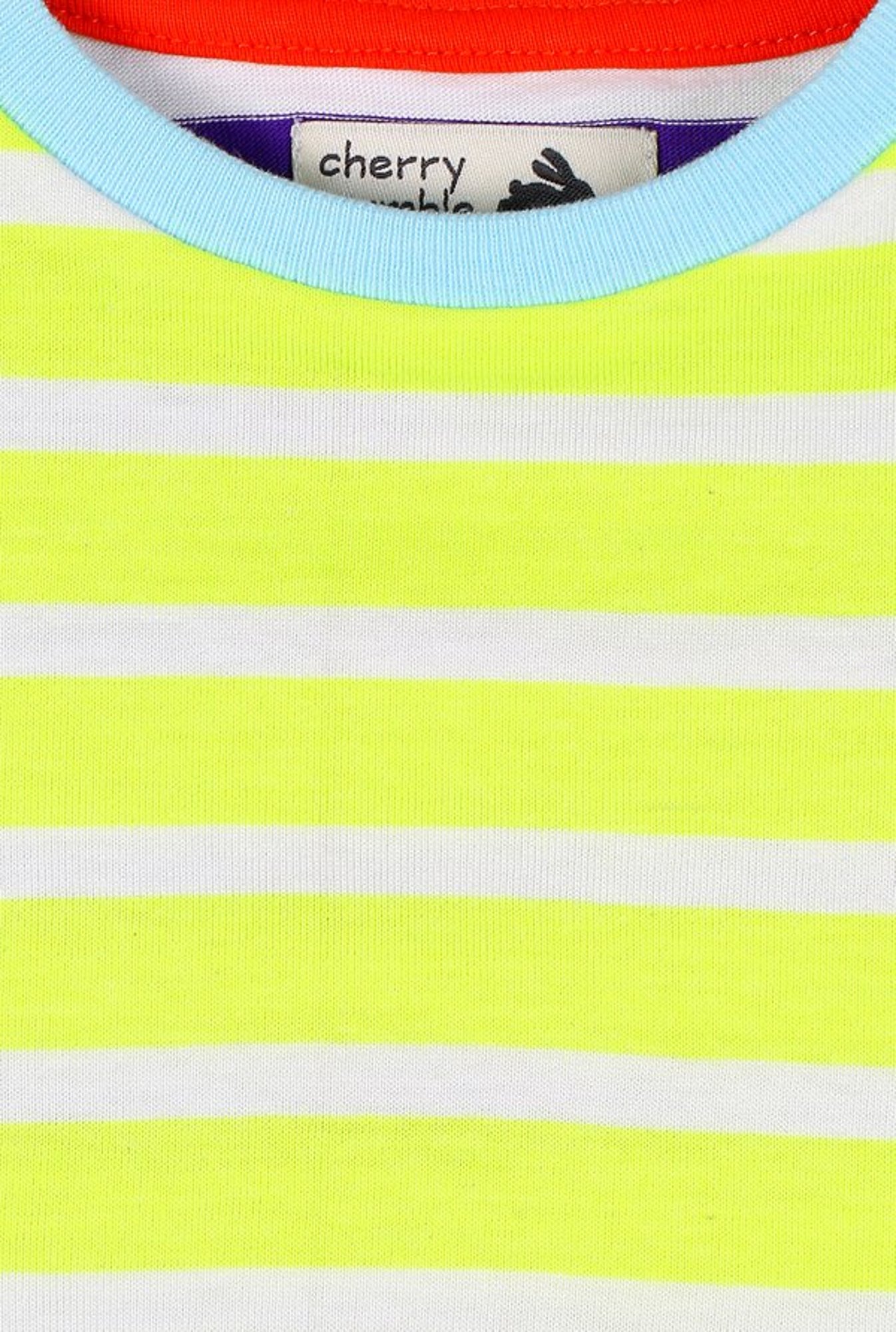 Cherry Crumble By Nitt Hyman Boys Neon Green Striped T-Shirt