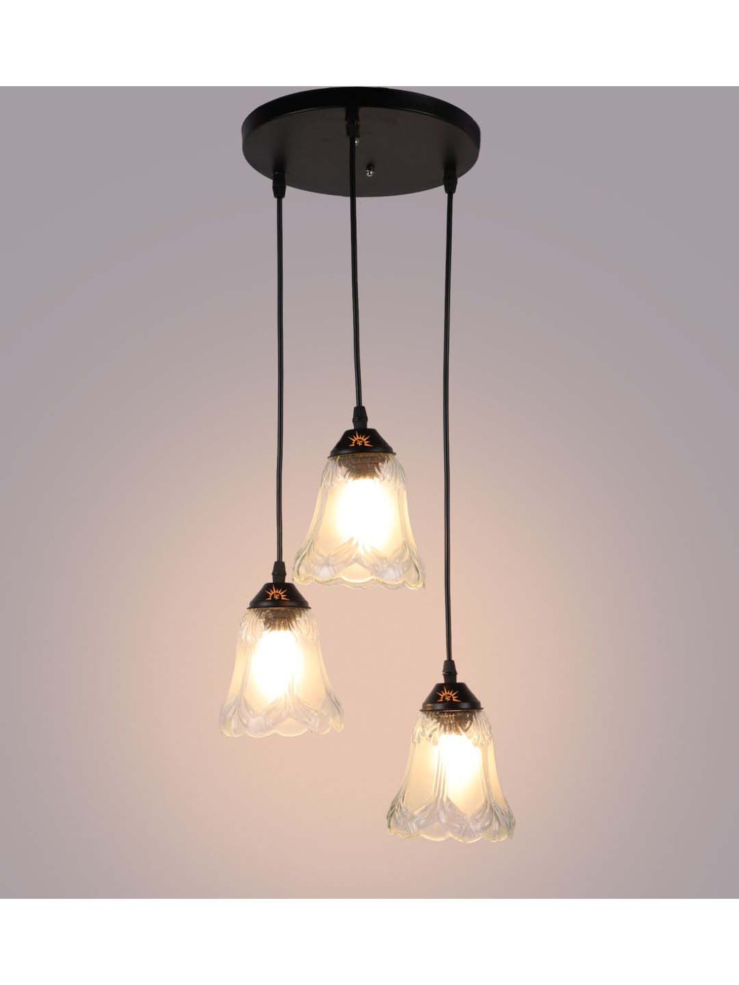 DecorativeRay Transparent Hanging Light - Set of 1