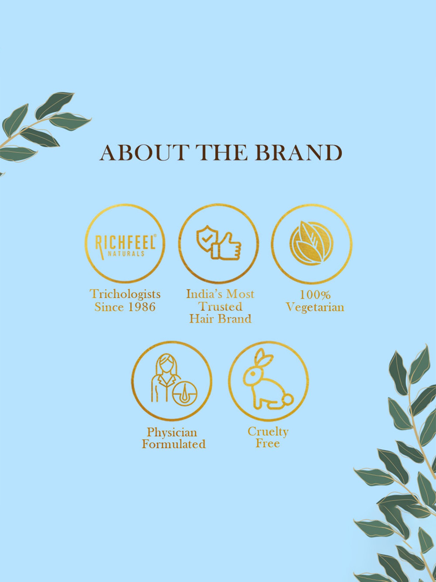 Richfeel Skin Whitening Facial Kit