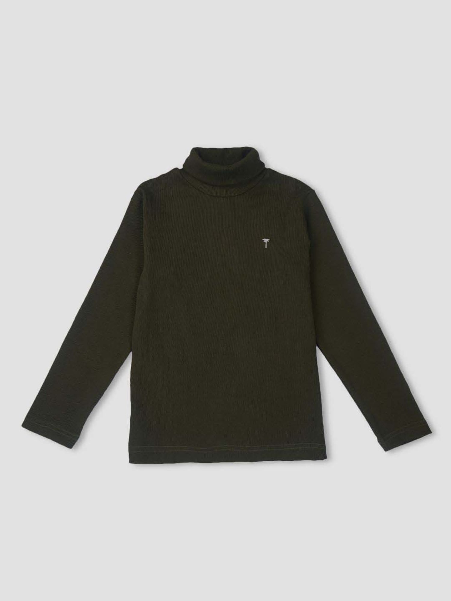 Palm Tree Kids Green Cotton Regular Fit Full Sleeves Skivvy