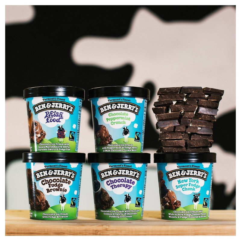 Ben & Jerry's Ice Cream Chocolate Fudge Brownie - 16oz