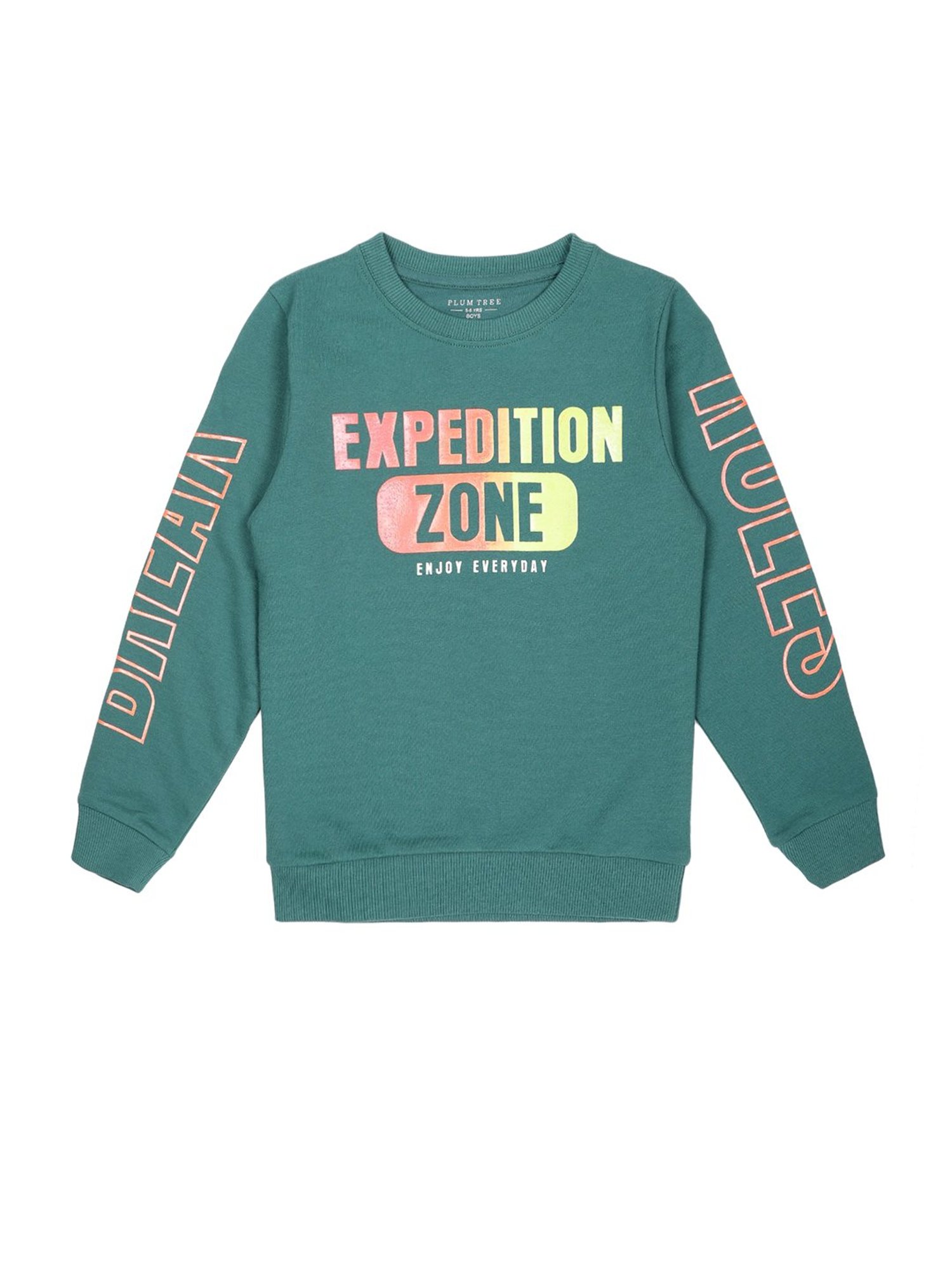 Plum Tree Kids Teal Graphic Print Full Sleeves Sweatshirt