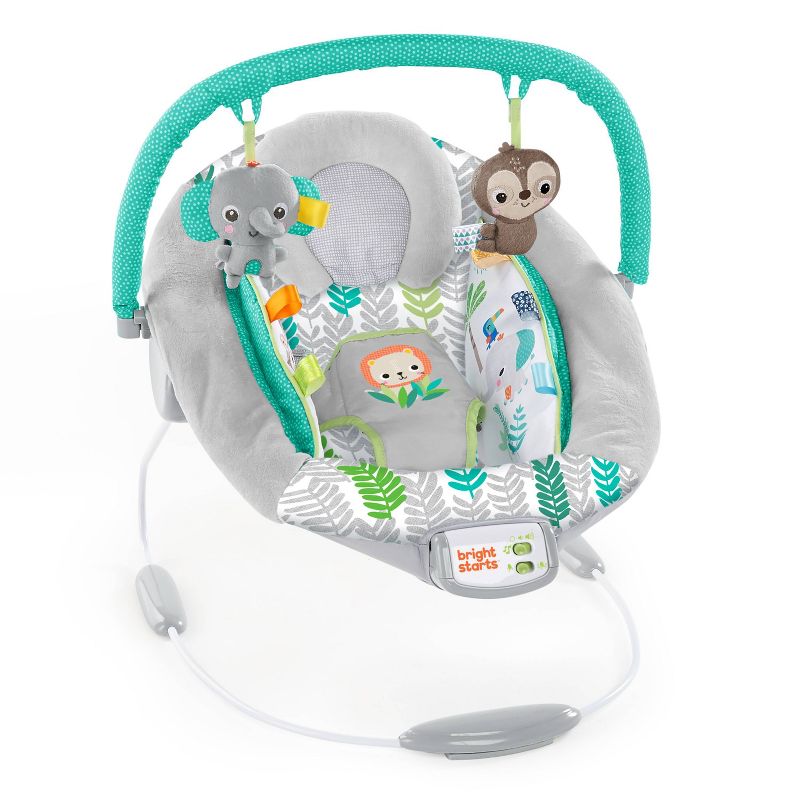 ​Fisher-Price Baby Bouncer