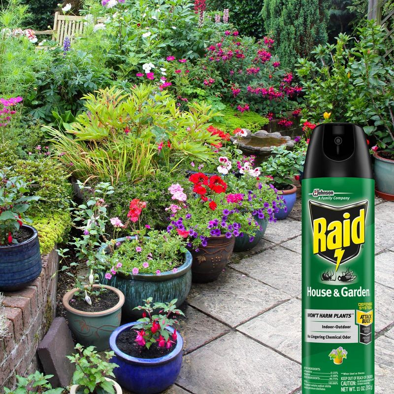 Raid Indoor/Outdoor House & Garden - 11oz