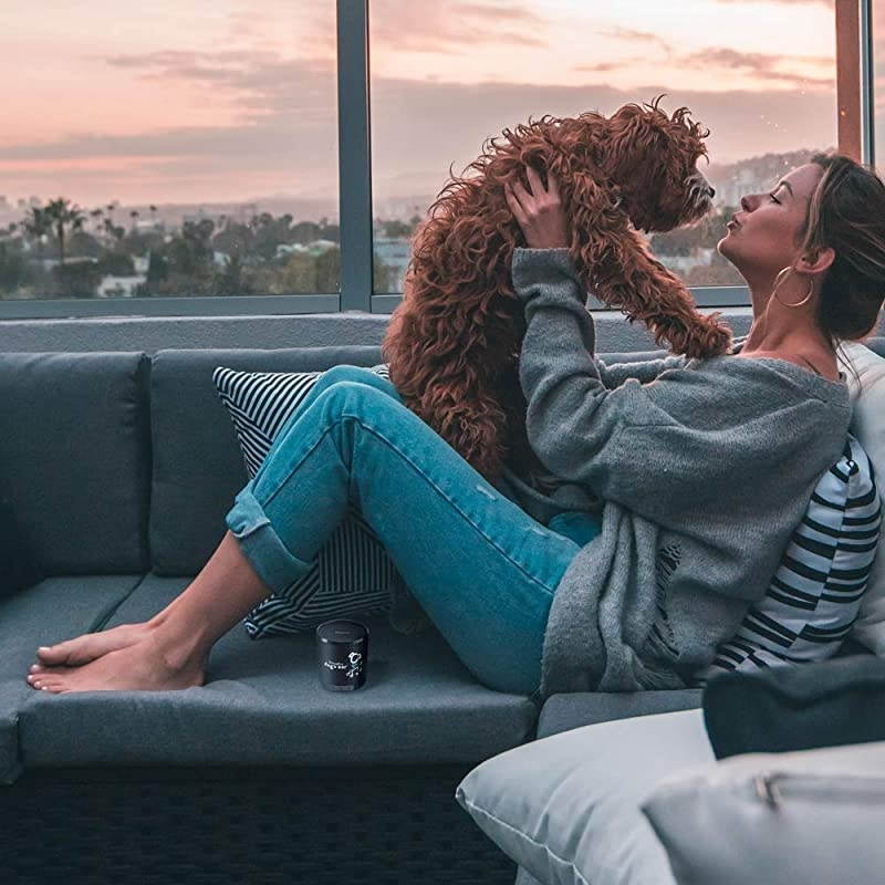 50b Bluetooth Speaker + 3hrs ClinicallyTested Classical Dog Calming Music Through a Dogs Ear | Your Proven Canine Anxiety Solution