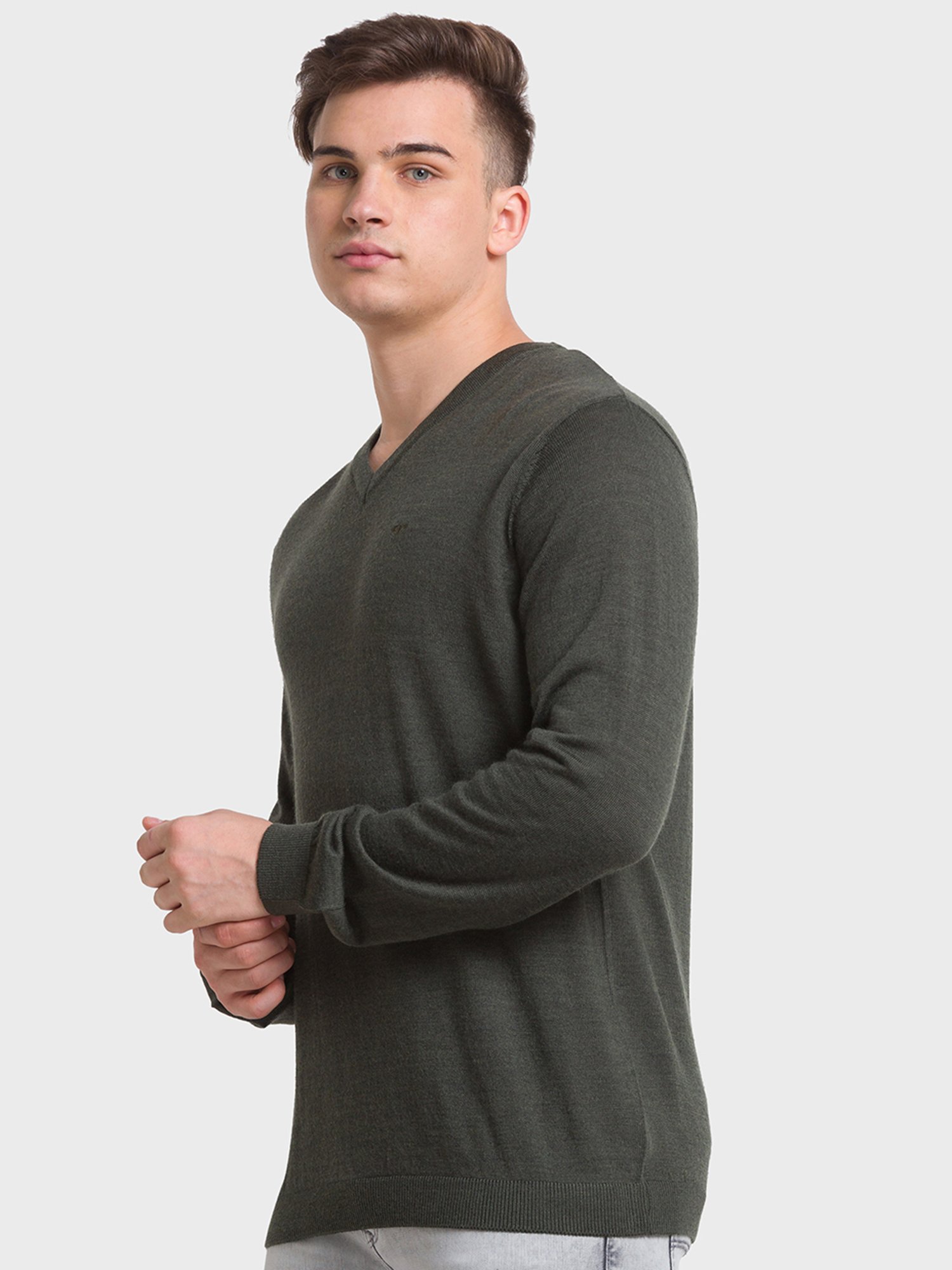 ColorPlus Green Tailored Fit Sweaters