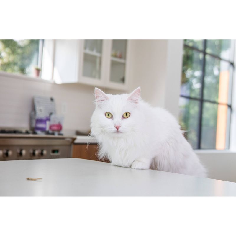 I and Love and You Naked Essentials Indoor Health with Chicken & Turkey Adult Premium Dry Cat Food - 3.4lbs