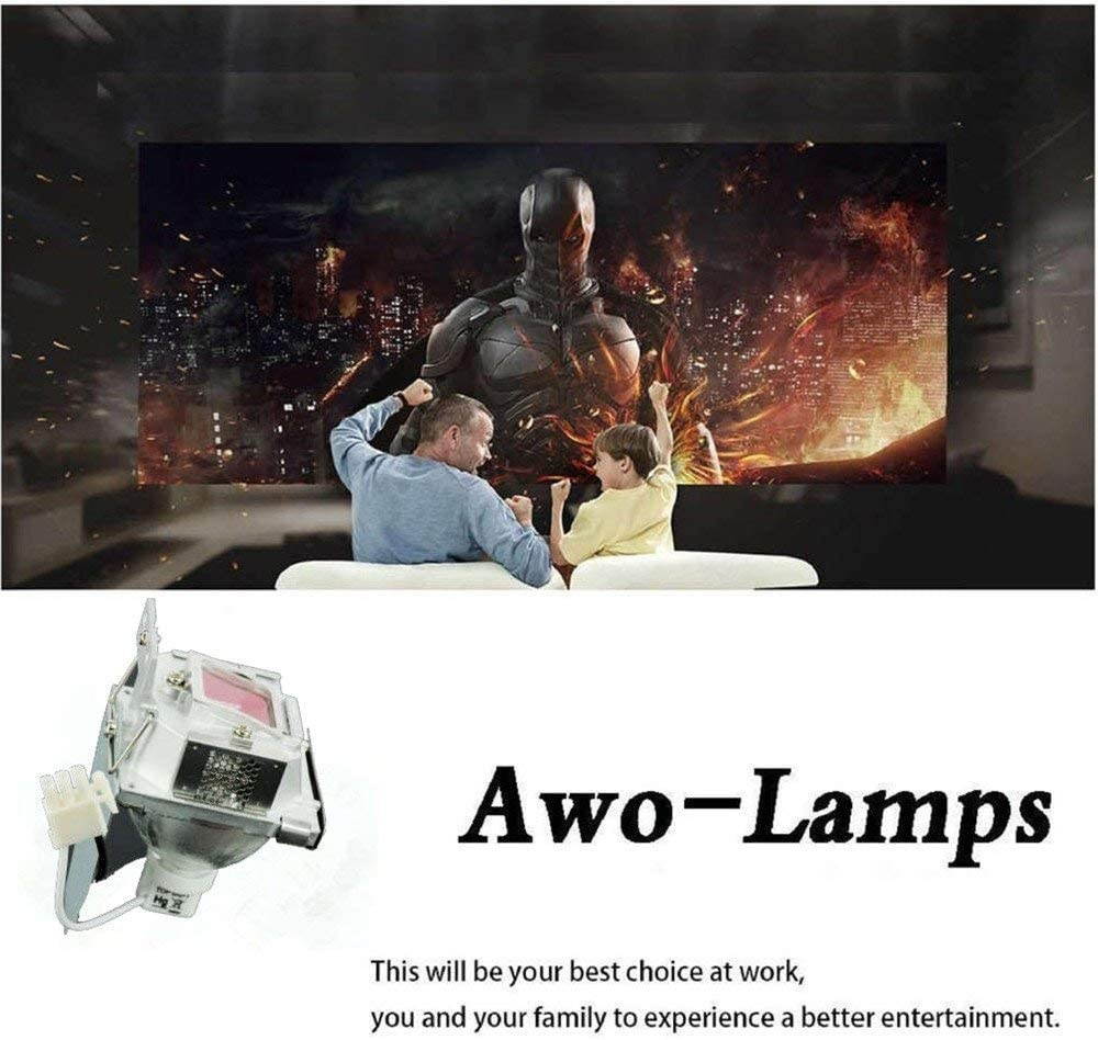 AWO Original Projector Lamp Bulb RLC-055 / RLC-056 / RLC-058 with Housing Fit for VIEWSONIC PJD5122 PJD5152 PJD5352 PJD5231 PJD5211 PJD5221