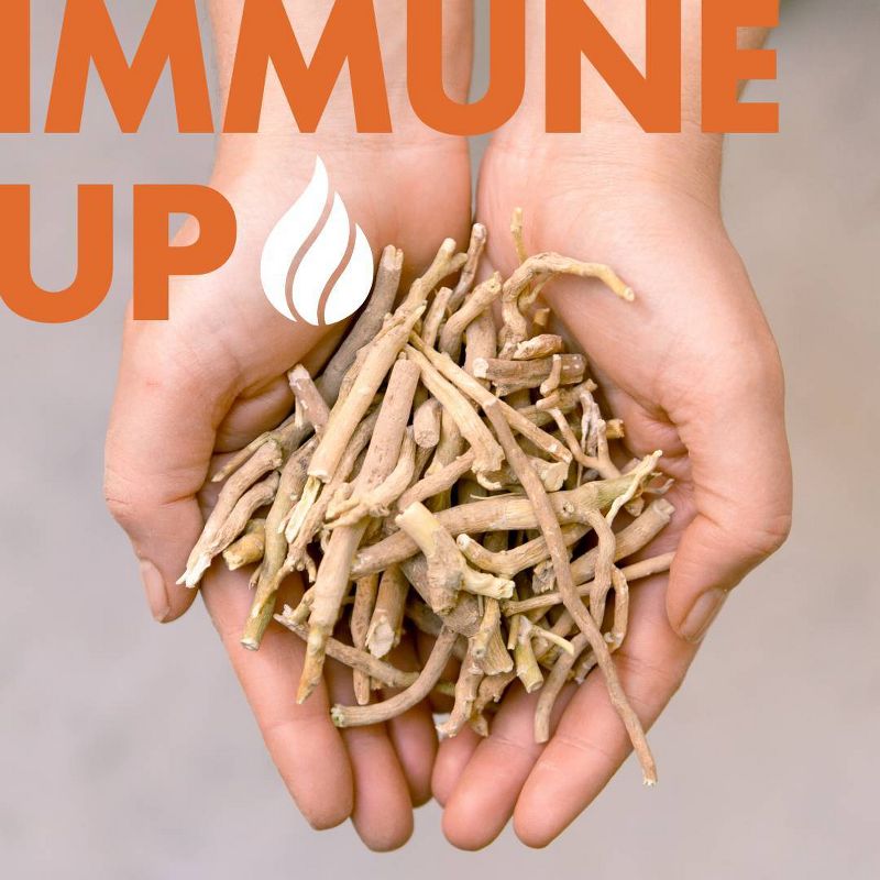 Rapid Fire Coffee Immune Brew Medium Roast Coffee Pods - 16ct