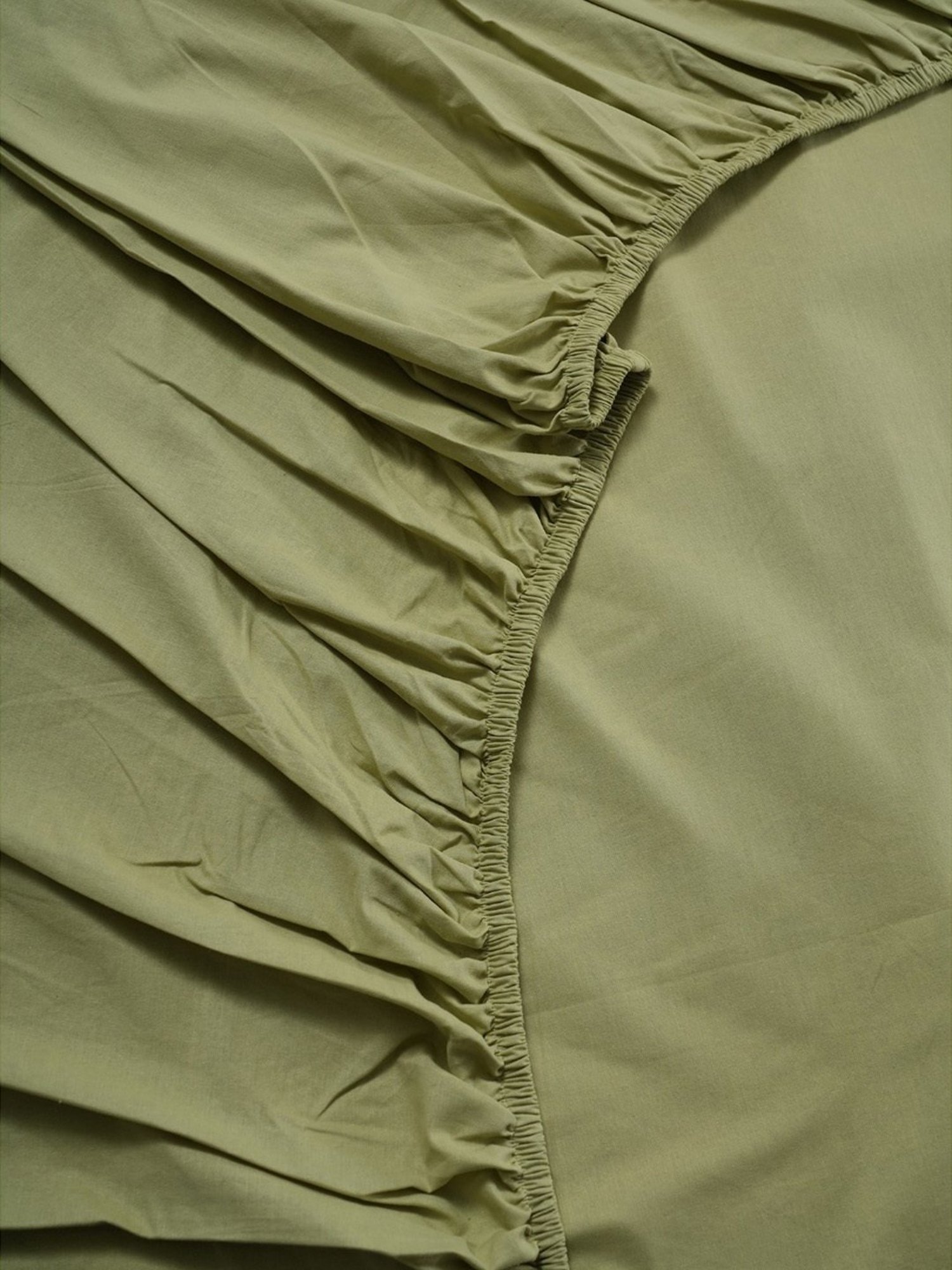 Maspar Colorart Eden Sage Green 144 TC Cotton Double Fitted Bed Sheet With 2 Pillow Covers