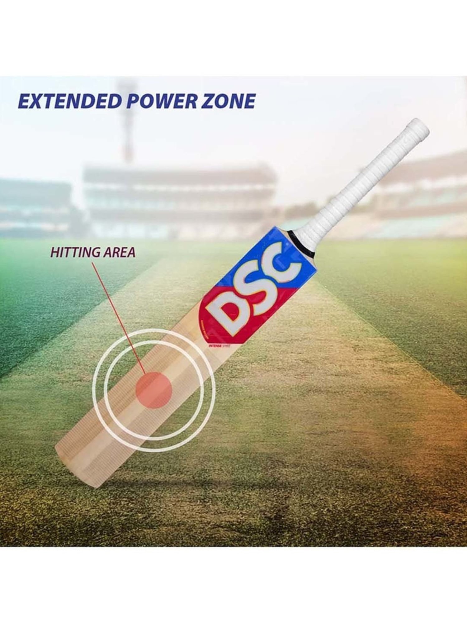 DSC Intense Spirit Kashmir Willow Cricket Bat Size - 4