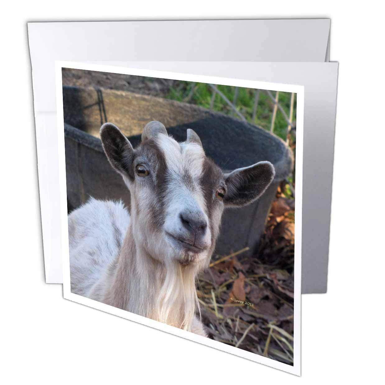 3D Rose Greeting Card with Envelope, Set of 1 (gc_21058_5)