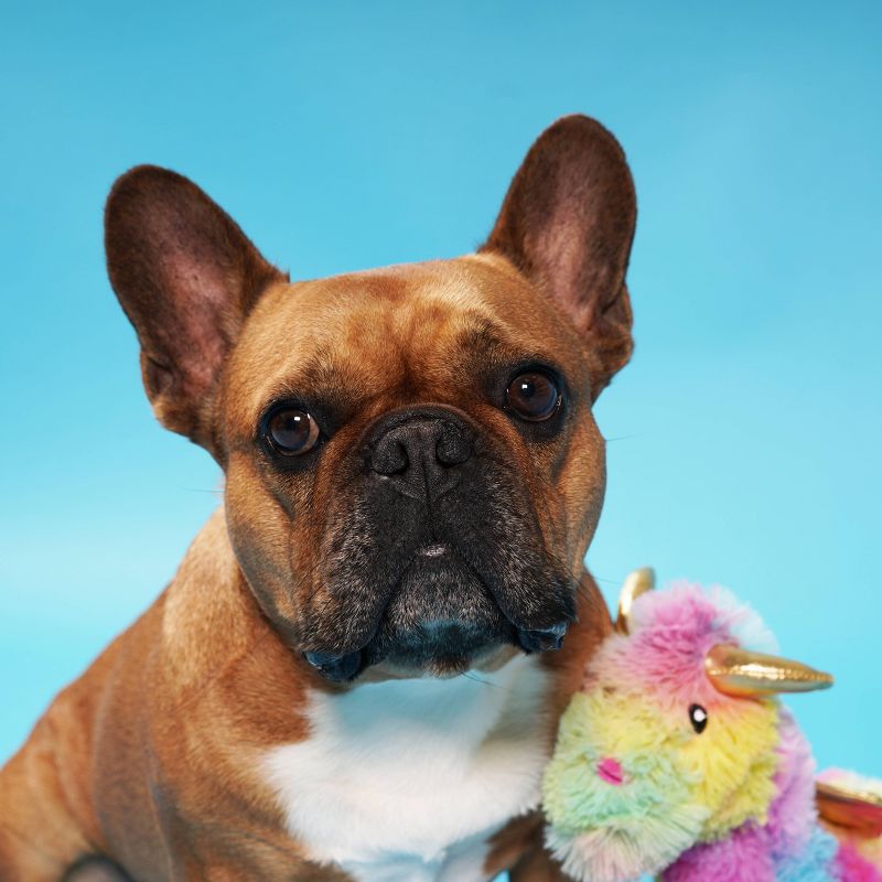 PetShop by Fringe Studio Rainbow Dragon Dog Toy - Gold