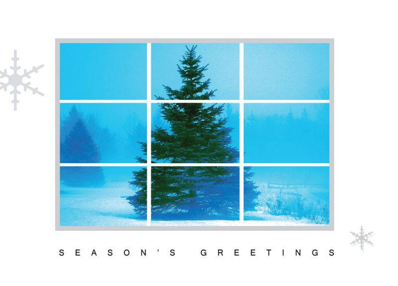 Holiday Greeting Cards - H8009. Greeting Cards with an Image of a Fir Tree Through a Window. Box Set Has 25 Greeting Cards and 26 White with Silver Foil Lined Envelopes.