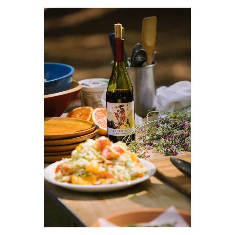 Prophecy Pinot Noir Red Wine - 750ml Bottle