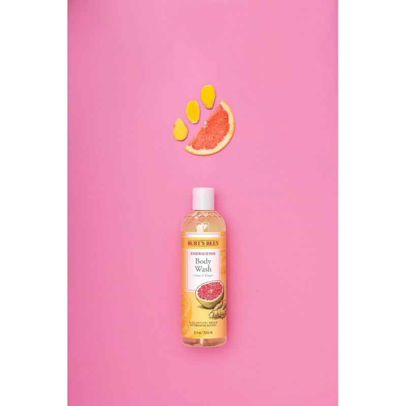 Burt's Bees Citrus Ginger Body Wash - 12 fl oz