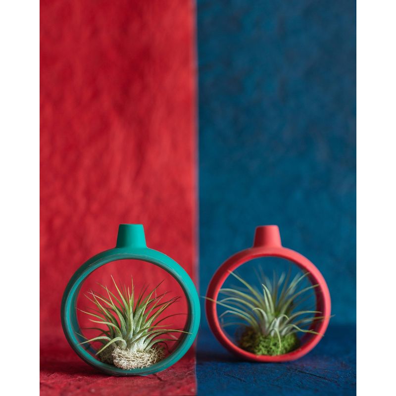 LiveTrends Fifth Day of Christmas - 4pk